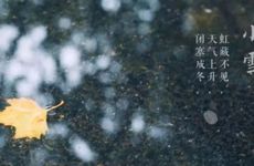 三国庞统是什么生肖 庞统投奔刘备