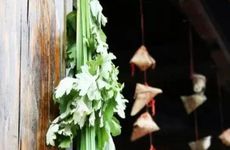 梦见到龙卷风是什么意思 梦见龙卷风好不好