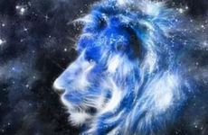 大门狮子怎么摆放 石狮子的风水寓意是什么？