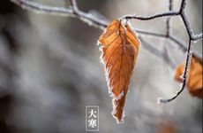 大寒节气有什么习俗？大寒吃年糕的寓意