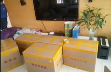 2023年植树节是几月几号