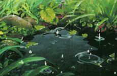 梦见小孩子拉屎在我身上是什么意思