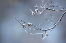 2022年腊月迁坟吉日 2022年农历十二月十九不适合迁坟吗？