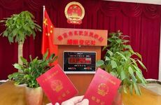 2021年11月份属龙宜结婚的好日子 结婚习俗闹洞房招数