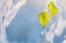 梦见太阳沉入大海怎么回事 梦见太阳沉入大海有什么预兆