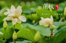 立春之前为什么要理发 立春不能做什么事情