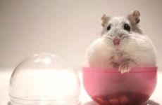 梦见水泥怎么回事 梦见水泥有什么预兆