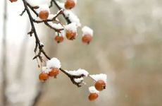 大年初二回娘家的风俗