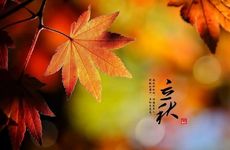 接下来成绩突飞猛进考试运爆棚的星座