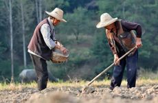 2022年农历九月二十可以迁坟？2022年农历九月迁坟吉日