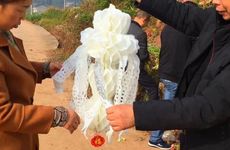 2022清明节哪天是寒食节