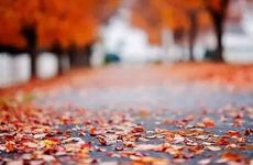 秋分后的第一个节气是什么？秋分的气候特点