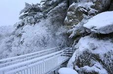 2024年别墅的假山在什么位置好 假山做在别墅哪个方位最好