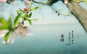 清明扫墓9个常识与禁忌