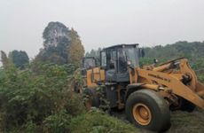 从7月7日开始，桃花朵朵开，会情投意合，能相濡以沫的三大生肖