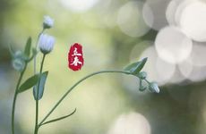 2022年立春迎春有什么讲究 迎春吃春饼