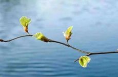 2023年躲春的属相是谁 躲春有什么作用？