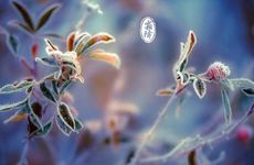 2023年哪些属相有牢狱之灾 遭遇小人陷害引来官司纠纷