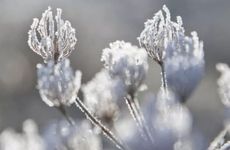 梦见博物馆周公解梦，梦见博物馆是什么意思？