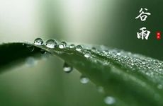 好听的qq昵称女生英文