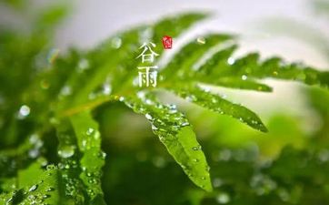 为什么谷雨前后不好钓鱼 谷雨钓鱼的最佳时间