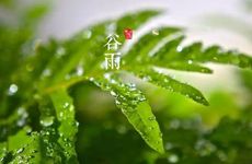 梦见坐电梯怎么回事 梦到坐电梯有什么预兆