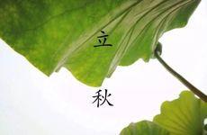 梦见咽炎是什么意思