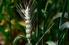 2022小满宜结婚吗