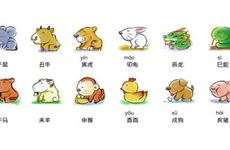 6合生肖是哪6个