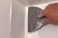 室内镇宅辟邪什么植物最好 门口摆放铁树