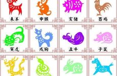 十二生肖金木水火土表
