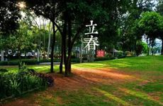 2023年立春是几月几日 2023年立春交节时间几点