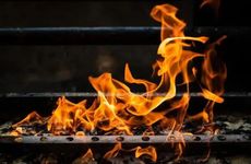 属相相冲一览 2023年6月13日冲什么属什么生肖