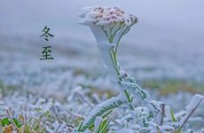 带什么东西辟邪防小人最厉害 易招小人的人的特点