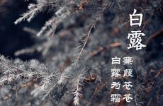 白露节气需要注意些什么 白露节气拉肚子是为什么