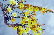 2023年躲春时间和方法