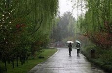 2024年会意外怀孕的生肖女