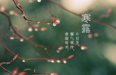 到了冬天好运来到 敢于面对生活的四个星座