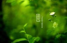 82年狗40岁桃花劫多久结束 82年狗40岁化解桃花劫方法