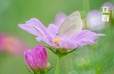 梦见蹴鞠怎么回事 梦见蹴鞠有什么预兆