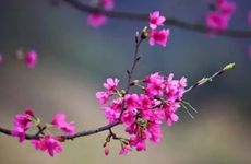 2022年躲立春应该从什么时候开始