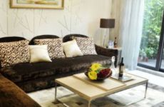 菊花送人有讲究别乱送啦