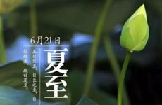 88年土龙大林木好不好 适合去哪个方向发展