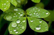 大年初三的风俗是什么 大年初三一般有些什么风俗