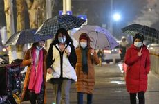 2022秋分适合吃什么食物 2022秋分的养生饮食及特点