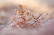 书桌靠着床对主人有什么影响嘛