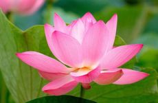 男生网名简单气质有内涵的