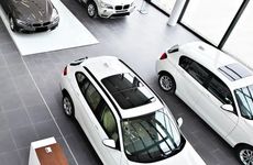 梦见大猫预示将来会发生什么