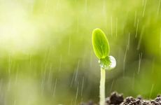 大门和卫生间门正对怎么解决 卫生间正对大门怎么办