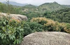 清明“荡秋千”源于民间劳作 盛行于唐宋时期